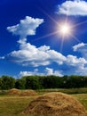 Wood sky clouds field Royalty Free Stock Photo