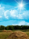 Wood sky clouds field Royalty Free Stock Photo