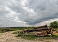 Wood sky outdors