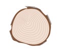 Wood slice concept Royalty Free Stock Photo