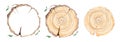 Wood slice. Tree rings. Watercolor illustration. Royalty Free Stock Photo