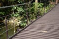 Wood sling bridge in forest