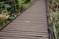 Wood sling bridge in forest at Kanchanaburi