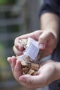 Wood Smoking chips for grilling