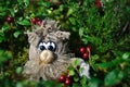 Wood spirit in berries Royalty Free Stock Photo