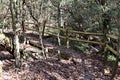 Wood split rail fence along trail curve, horizontal