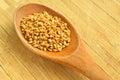 Wood spoon and roasted sesame seeds Royalty Free Stock Photo