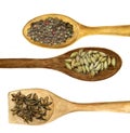 Wood spoon with spices