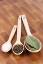 Wood spoons with ingredients