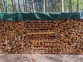 Wood stack artfully piled up