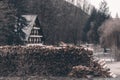 Wood Stack of chopped firewoods prepared for winter Royalty Free Stock Photo