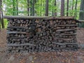 Wood stack dark colored artfully piled up in woodland