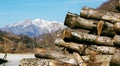 Wood stack on the mountains Royalty Free Stock Photo