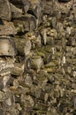 Wood stack of neatly stacked firewood and small wood to dry for