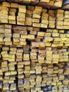 Wood stack Stacked together Nature cut into pieces for decorating work or Structure Texture surface backgroundÃ¢â¬â¹ plant Royalty Free Stock Photo