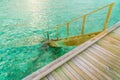 Wood stair into the sea of tropical Maldives island . Royalty Free Stock Photo