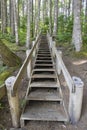 Wood Staircase in Hiking Trail Royalty Free Stock Photo