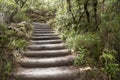 Wood stairs