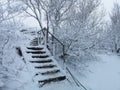 Wood stairs snow covered trees in Pingvellir during a winterstorm in Iceland.