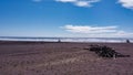 Wood sticks gathered on each other on the Goat Rock beach of Jenner, California, USA