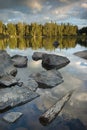 Wood and stones in the lake