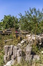 Wood storage area on meadow with tree trunks and wood for further processing into firewood