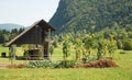 Wood Storage Building & Veg Garden Royalty Free Stock Photo