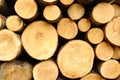 Wood stores Royalty Free Stock Photo