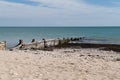 Wood storm protection coastline defence barrier with sea ocean beach Royalty Free Stock Photo