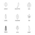 Wood structure icons set, outline style