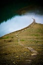 Wood Stump Path To Lake