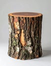 Wood Stump Side Table with Natural Bark Texture in Studio Setting with Subtle Lighting Royalty Free Stock Photo