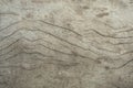 Wood surface background