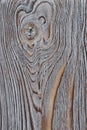 A twig on an aged wooden surface. Vertical arrangement of layers and structures