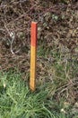 Wood survey stake painted in red for work on construction site Royalty Free Stock Photo