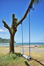 Wood swing Royalty Free Stock Photo