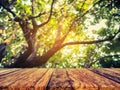 wood table and blur image of green tree bokeh. Royalty Free Stock Photo