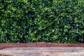 Wood table board old empty in front, wooden plank blank on bokeh nature green background, perspective brown wood table front Royalty Free Stock Photo