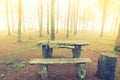 Wood table in forest tree during a foggy day Royalty Free Stock Photo