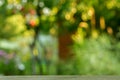 Wood table over blurred trees with bokeh background Royalty Free Stock Photo