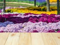 Wood table or terrace with view of flower and nature outdoor Royalty Free Stock Photo