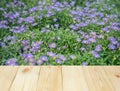 Wood table or terrace with view of flower and nature outdoor Royalty Free Stock Photo