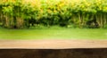 Wood table top on blur abstract green,flower from garden Royalty Free Stock Photo