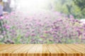 Wood table top on blur background of blooming Verbena field on summer sunset - can be used for display or montage your products