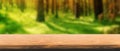 Wood table top and blur Forest background.panoramic banner - can be used for display or montage your products.Winter travel style