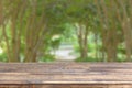 wood table top on blur green alley of trees background Royalty Free Stock Photo