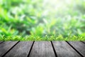 Wood table top on blur background in the park