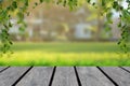 Wood table top with blur green background with trees in the park with vine frame Royalty Free Stock Photo