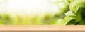 Wood table top and blur natural background in garden for product and display montage banner size.