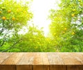 Wood table top with blur of orange farm in the morning Royalty Free Stock Photo